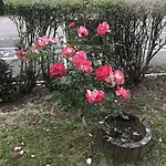 Premiere Classe Metz Nord - 2*