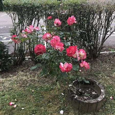 Premiere Classe Metz Nord - 2*