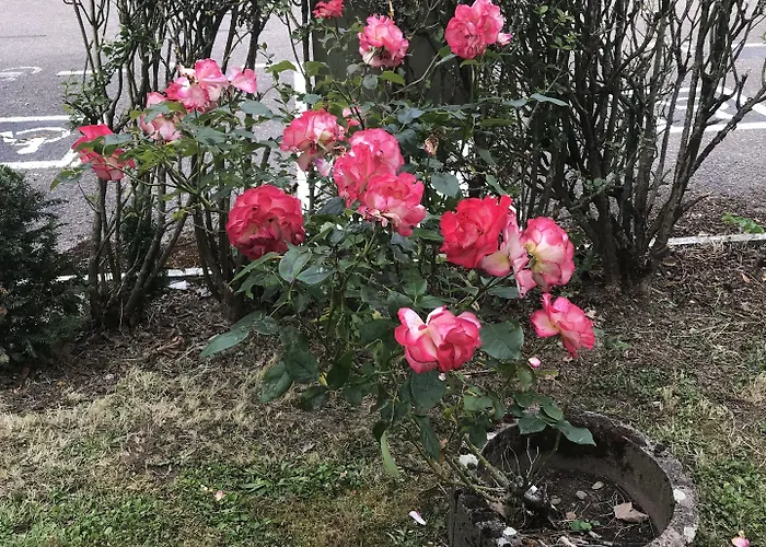 Premiere Classe Metz Nord - 2*